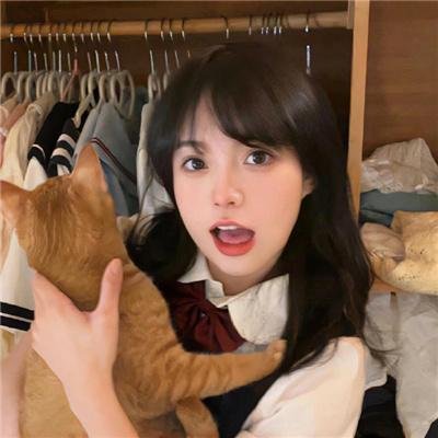 晚爱拾照终相逢